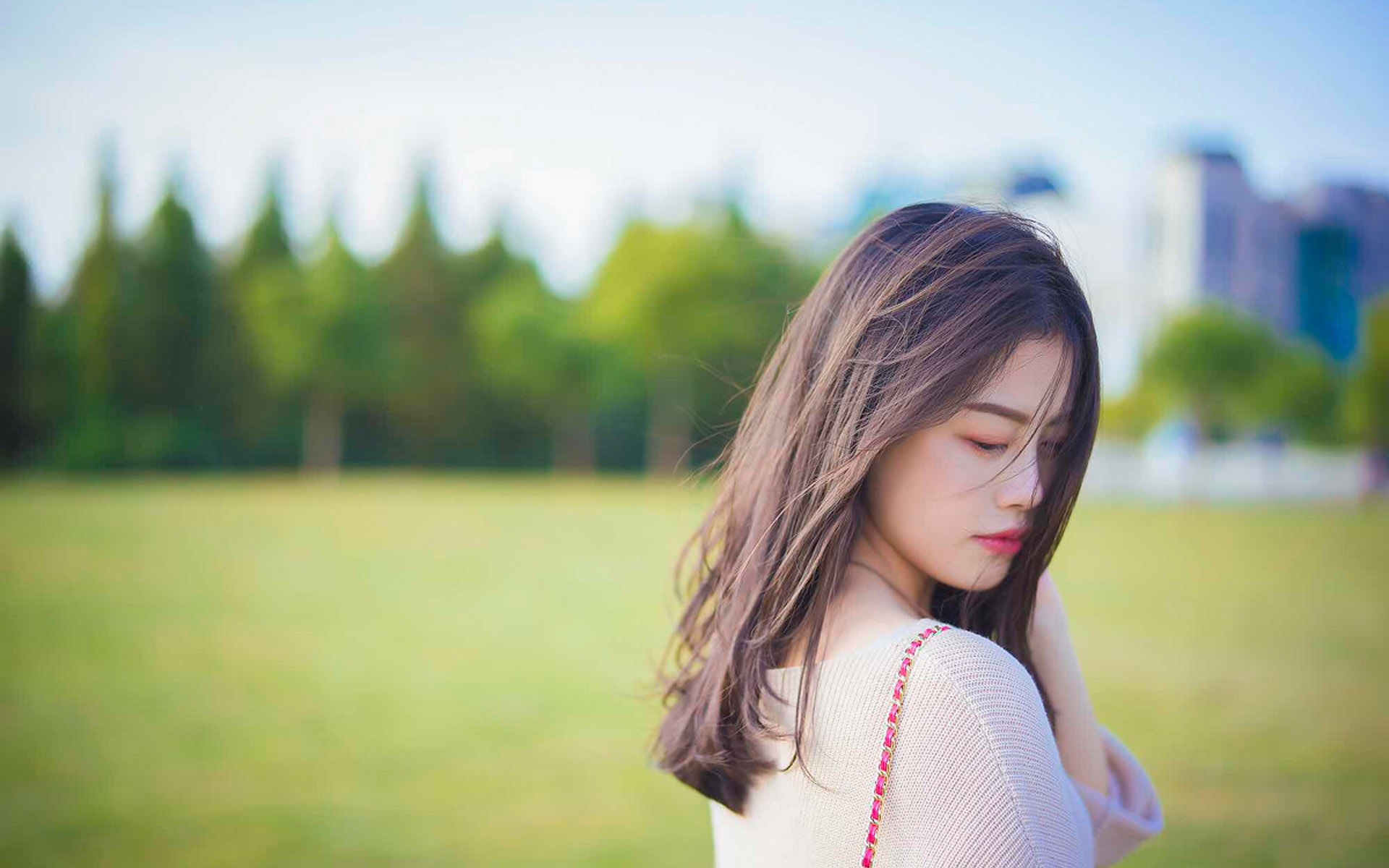 刘伯温4949资料大全免费公开_: 意外的发现，是否为我们打开了新的视野？